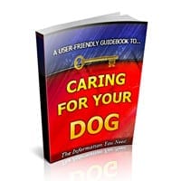 caring for your dog