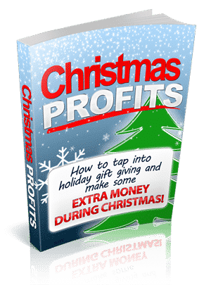 Christmas Profits