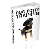 Dog Potty Training