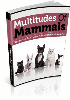 Multitudes Of Mammals