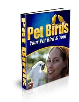 Pet Birds