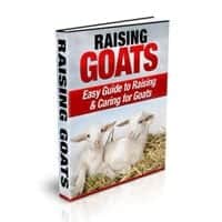 Raising Goats