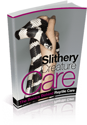 Slithery Creature Care