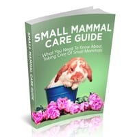 Small Mammal Care Guide