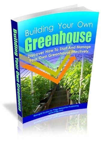 Building Your Own Greenhouse