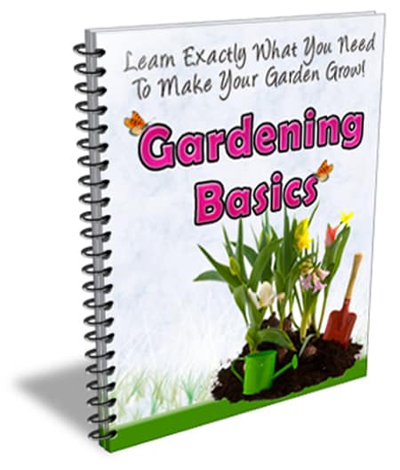 Gardening Basics Newsletter