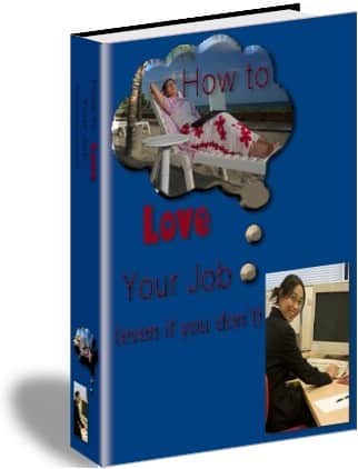 How To Love Your Job