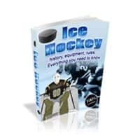 Ice Hockey 2