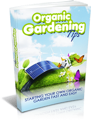 Organic Gardening Tips