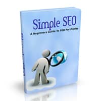 Simple SEO 1