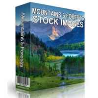 Mountains and Forests Stock Images