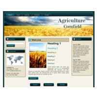 cornfield-wp-theme