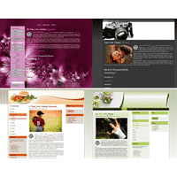 WordPress Theme Web2.0 v1