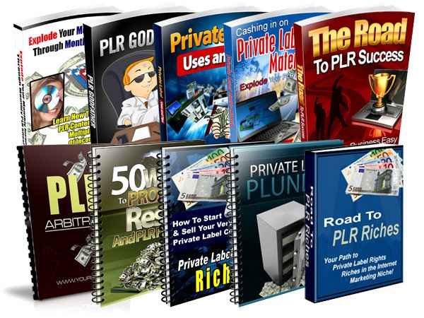 PLR Niche &amp; Profits Reports Wholesale Package,PLR Niche &amp; Profits Reports plr