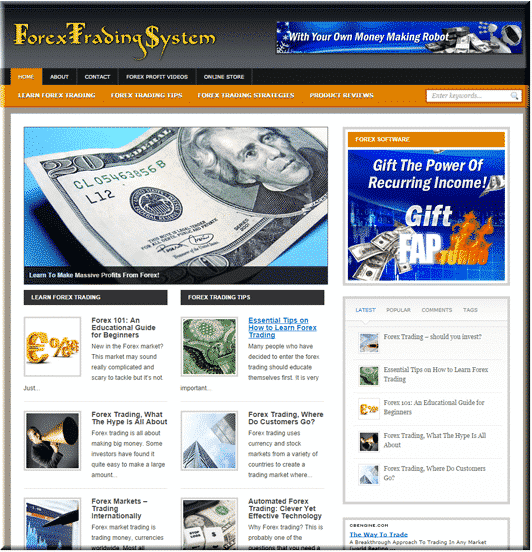 Forex Niche PLR Blog