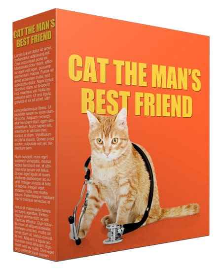 Cats as a Mans Best Friend Articles,Cats as a Mans Best Friend plr