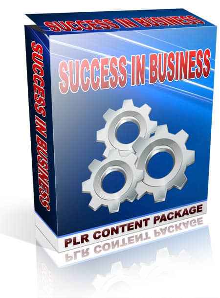 Success in Business PLR Articles Articles,Success in Business PLR Articles plr