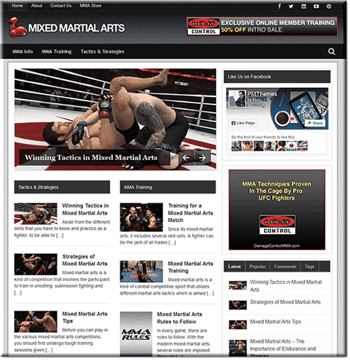 Mixed Martial Arts PLR Blog PLR WordPress Blog,Mixed Martial Arts PLR Blog plr