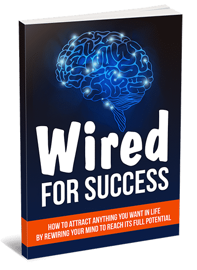 Wiredsuccess[1]