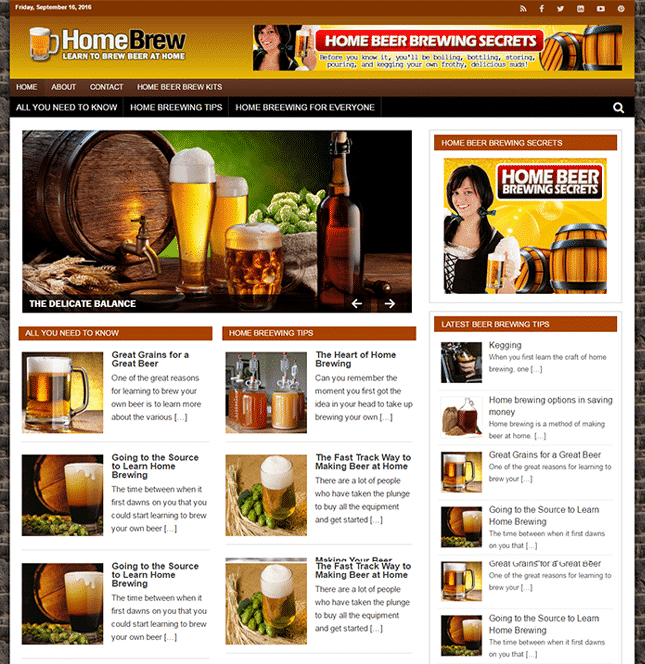 home brewing plr blog