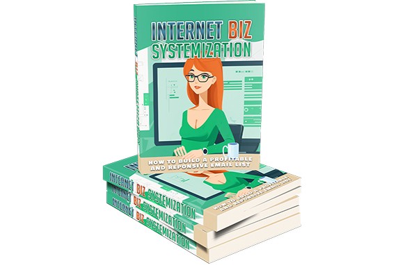 Internet Biz Systemization