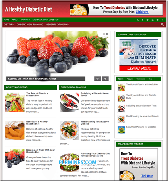 Diabetic Diet Niche PLR Website