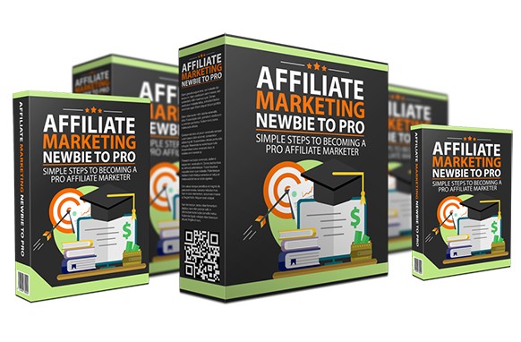 Affiliate Marketing Newbie To Pro