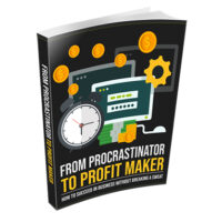 from procrastinator to profit maker