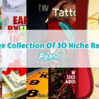 unique collection of 30 niche reports part 1