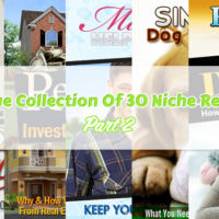 unique collection of 30 niche reports part 2